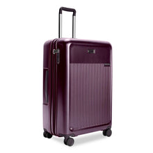 Load image into Gallery viewer, Sympatico 3.0 - Hardside Large Expandable Spinner 30" (8588386533627)