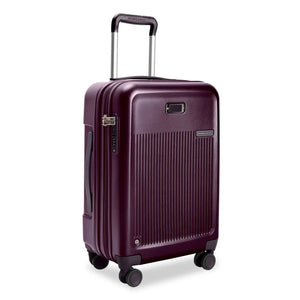 Sympatico 3.0 - Hardside Essential Carry-On Spinner 22" (8588358549755)